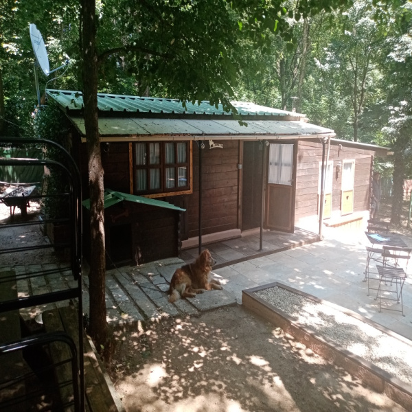 Offres de vente Chalet Callian 83440